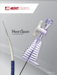 merit__heartspan__transeptal_needle__brochure.webp