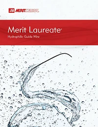 merit__merit_laureate__hydrophilic_guide_wires__brochure.webp