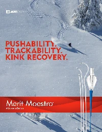 merit__merit_maestro__microcatheters__brochure.webp
