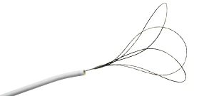 merit__product_category__endovascular_snares.webp