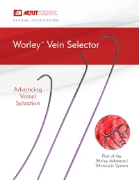 merit__worley__vein_selector__brochure.webp